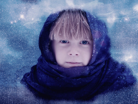 갤러리 테스트3