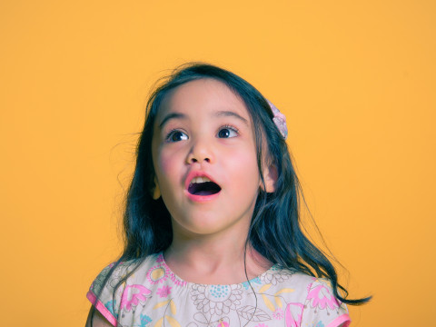 갤러리 테스트1